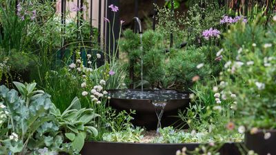 The balcony gardens at this year's Chelsea Flower Show showcased a new wave of possibilities for urban spaces – here are the key trends I spotted