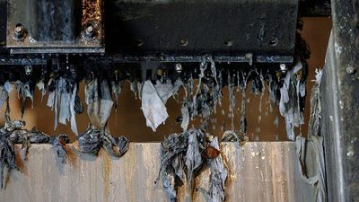 Spain wants to ban people from flushing wet wipes and make manufacturers pay for the clean up