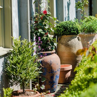 3 things you should never use to fill the bottom of a large planter, according to garden experts