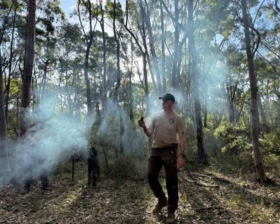 ‘This is not a wellness retreat’: four days on an Australian wilderness survival course
