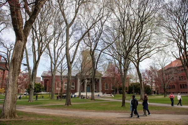Unions representing Harvard workers fear Trump’s ‘authoritarian turn’