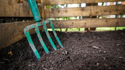 7 composting myths experts don't want you to fall for – they warn these rumors will make your efforts unsuccessful