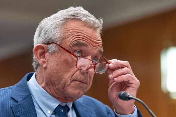 RFK Jr’s ‘Maha’ report found to contain citations to nonexistent studies
