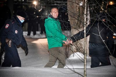 Navalny Widow, Media Watchdog To Launch TV Channel