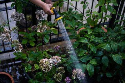 Mapped: Where hosepipe bans could come into effect after major drought warning