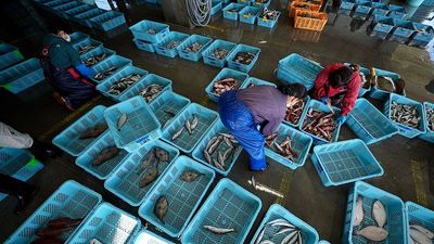 China to resume seafood imports from Japan suspended after Fukushima wastewater discharge
