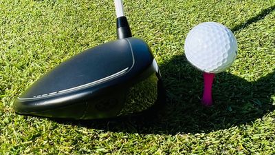I Thought The Pink Castle Golf Tee Was Perfect... Until This Debate