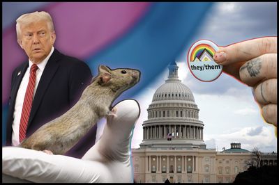 Trump Pushes Debunked Theory of 'Transgender Mice' as He Thanks Musk for His 'Service'