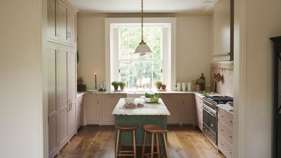 This bacteria-busting kitchen storage solution instantly tidied up my small sink area – it's chic and clever