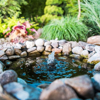 5 small garden pond ideas that will invite wildlife and waterscaping into even the tiniest space