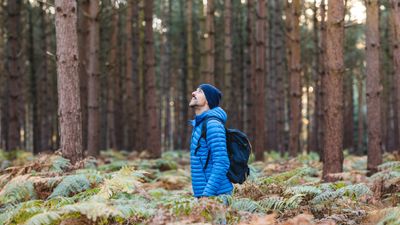 Forest bathing is the only meditation that truly works for me – here’s why