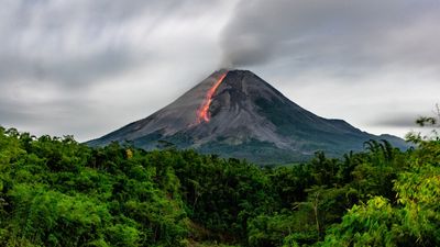 The closer a volcano is to erupting, the greener the trees around it look from space