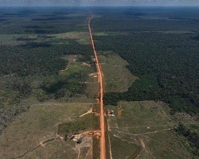 Brazil’s environmental governance is under threat – and Lula is siding with oil industry