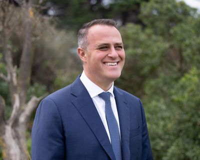 Tim Wilson takes back Victorian seat of Goldstein from Zoe Daniel by 175 votes, recount confirms