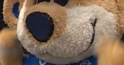 STV ask Rangers mascot Broxi Bear for takeover thoughts in bizarre TV moment
