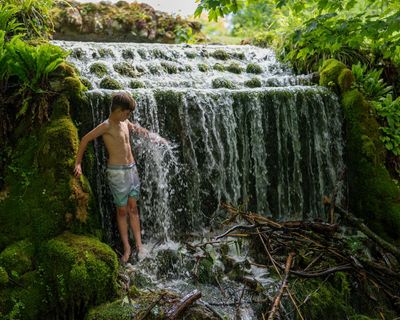 Anger as Dorset estate withdraws public entry to ‘stunning’ local landmark