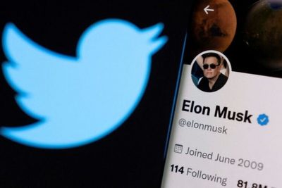 Elon Musk's Grok AI Stuns Users With Racially Charged Replies About White Genocide