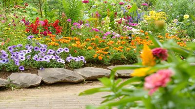 Gardening mistakes to avoid in June – garden experts reveal how (and how not) to get your yard ready for summer