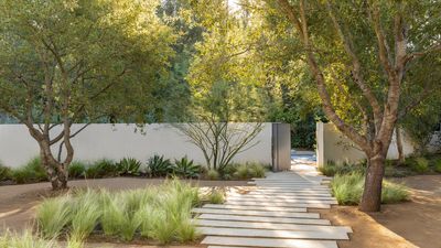 How to Use Plants to Make Your Garden More Secure — They Can Make Surprisingly Good Deterrents, While Looking Good, too