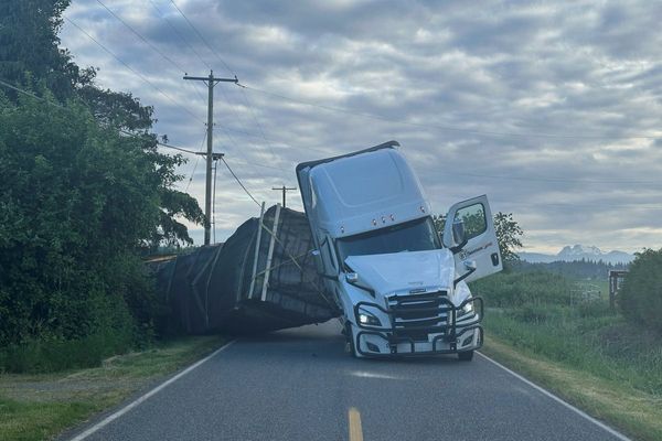 Millions of honeybees abuzz after truck overturns in Washington state
