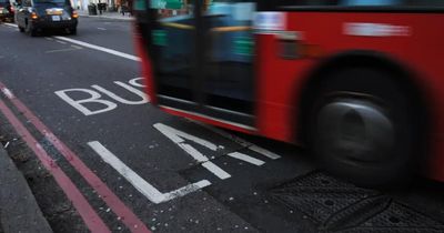 Scottish travel firm puts 10 buses up for auction after closing 'out of the blue'