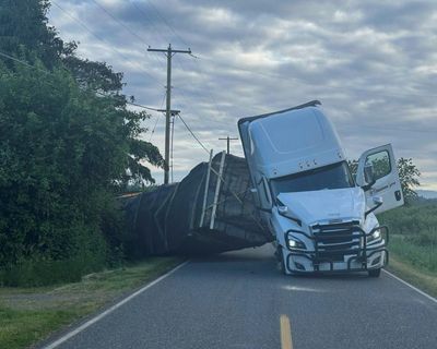 Bee-ware: 14m honeybees escape after truck overturns by US-Canada border