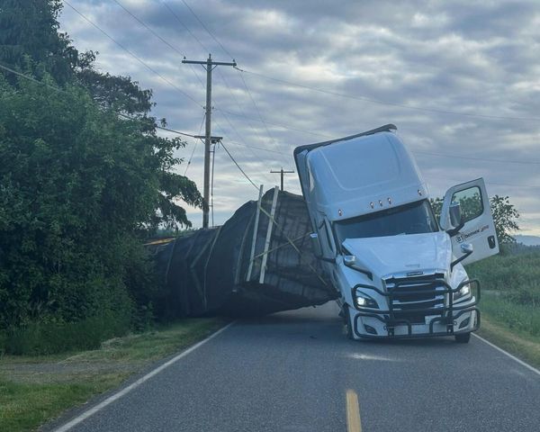 Bee-ware: truck carrying 250m honeybees overturns by US-Canada border