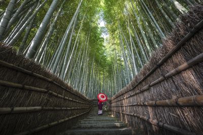 Retire in Japan: It Ain’t Easy, Unless You’re Special