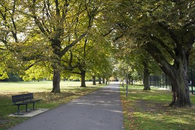 Man arrested after woman 'raped' on Tooting Bec Common in early hours