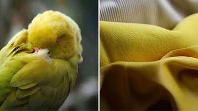 This Earthshot Prize finalist is using DNA sequencing to create sustainable clothing dyes