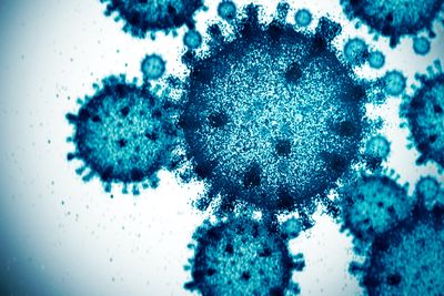 Viruses are in us. And are us. It's ok.