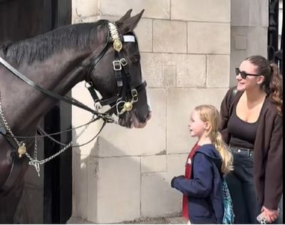 Heartwarming moment King’s Guard horse ‘kisses’ delighted girl after sweet gesture