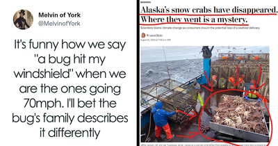 People Are Cracking Up At These 28 Dark Memes And Posts About Nature, The Planet, And All Living Things, As Shared By This Facebook Group