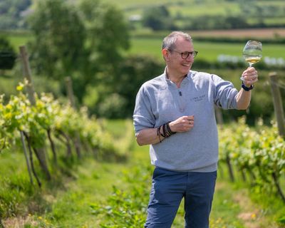 ‘Burgundy eat your heart out!’: Devon producer is toast of wine world