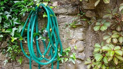 How to disguise a garden hose – 4 stylish and clever ways to hide a hose and keep your yard looking its best this summer