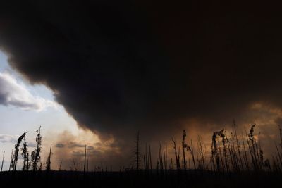 Thousands evacuated in 3 provinces as Canadian wildfires threaten air quality into some US states