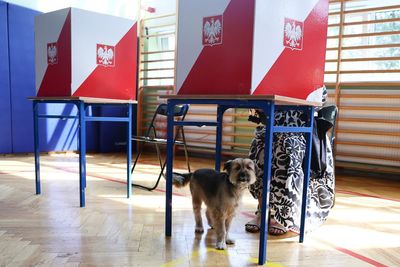 Ipsos poll gives conservative candidate a narrow lead in Polish presidential race – as it happened