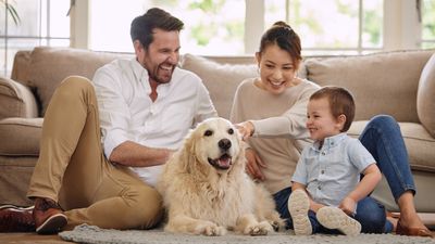 10 best pets for autistic people