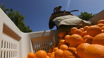 Supermarket giant acts on 'appalling' worker conditions