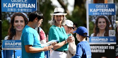 In Bradfield, the election is not yet over. What happens when a seat count is ultra close?