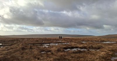 Record levels of peatland restored across Scotland