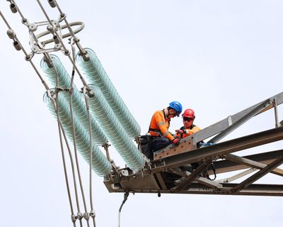 High electricity bill taxes holding us back, say industry groups