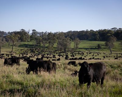 Crossing the city-country divide: how do Australian farmers advocate for their industry in an urbanised world?