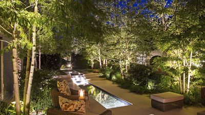 Outdoor tree lighting ideas – 13 ways to highlight your planting once the sun goes down