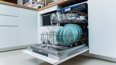 You asked: When is it time to replace a dishwasher?