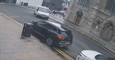 'Absolutely horrific': Dramatic moment horse strikes car whilst on the loose