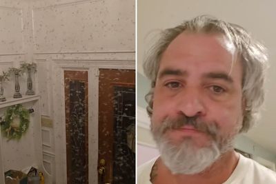 Man left horrified after coming home to ‘plague-style swarm’ of termites