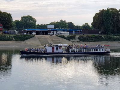 Runner rushed to hospital after tree falls on her on Thames Path in south London