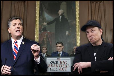 GOP Lawmaker Insists Musk 'Doesn't Understand' Trump's 'Big, Beautiful Bill' After Billionaire CEO Criticized It