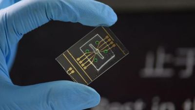 DNA computing could solve AI's single biggest systemic problem